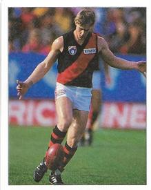 1994 Select AFL Stickers #79 Paul Hills Front